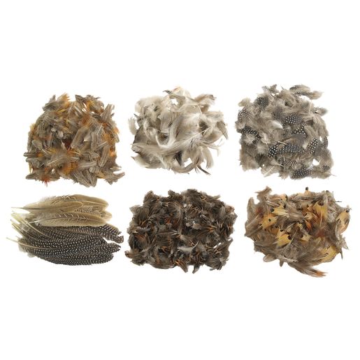 Colorations® Natural Feathers Classroom Pack