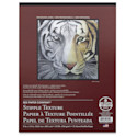 Bee Paper Stipple Paper Pad - 11" x 14", 25 Sheets