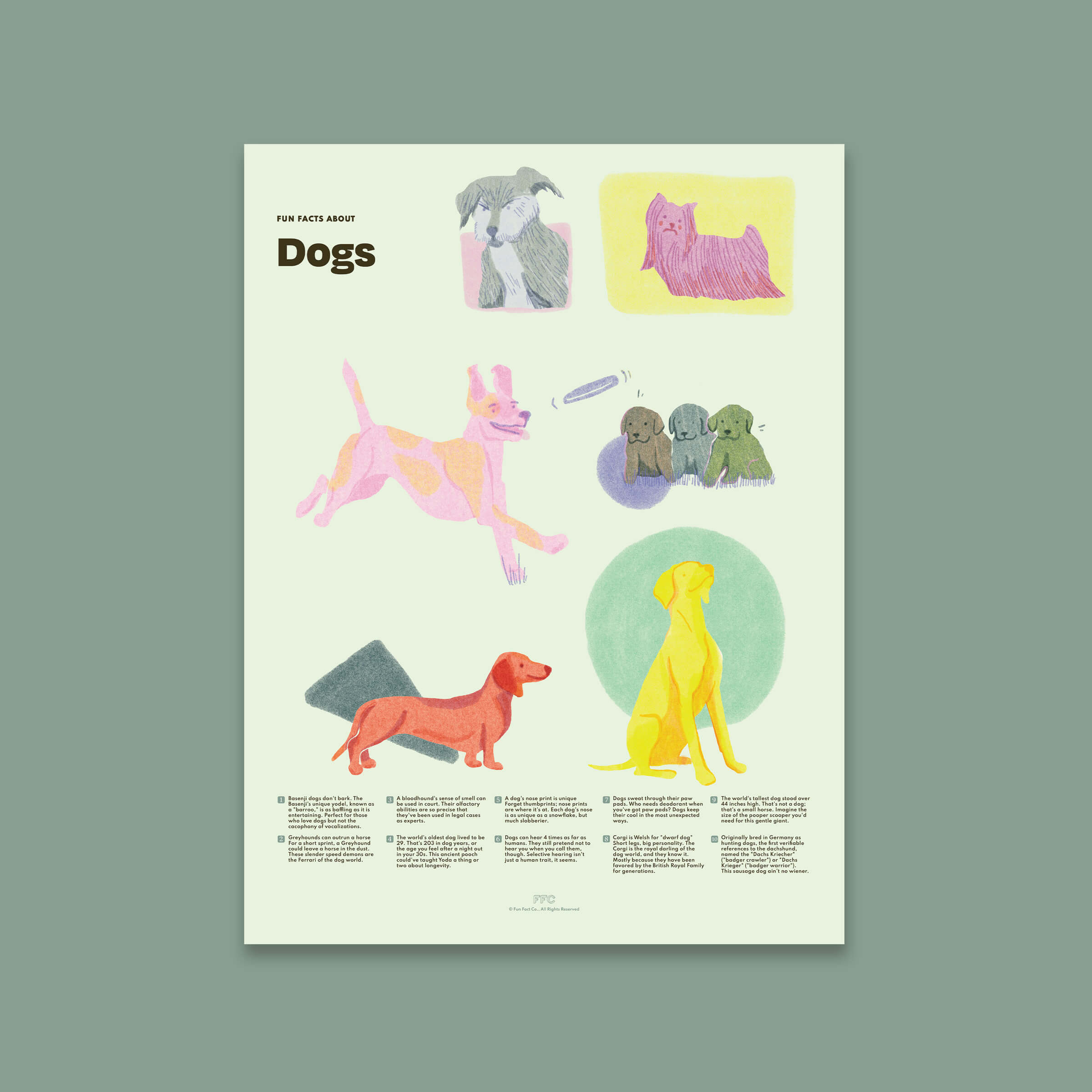 Dog Fun Facts Print